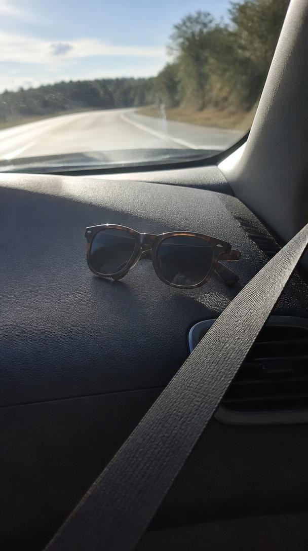 Car Sunglasses Try-On example frame